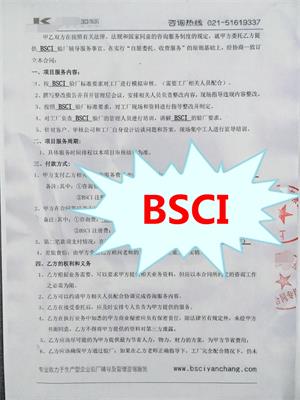 嘉兴市XX日用品制造有限公司与康华合作BSCI验厂咨询